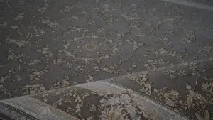 1419 Anna Details doodi